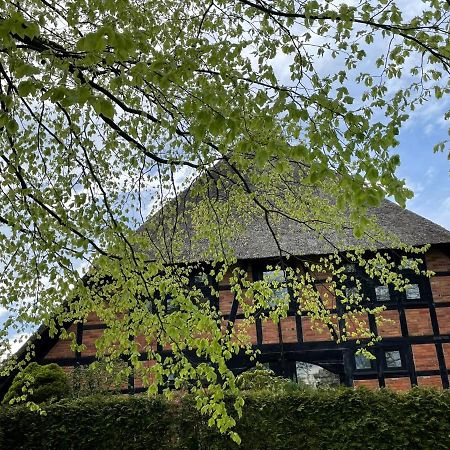Ferienwohnung St. Dionyser Heidedorf Sankt Dionys Dış mekan fotoğraf